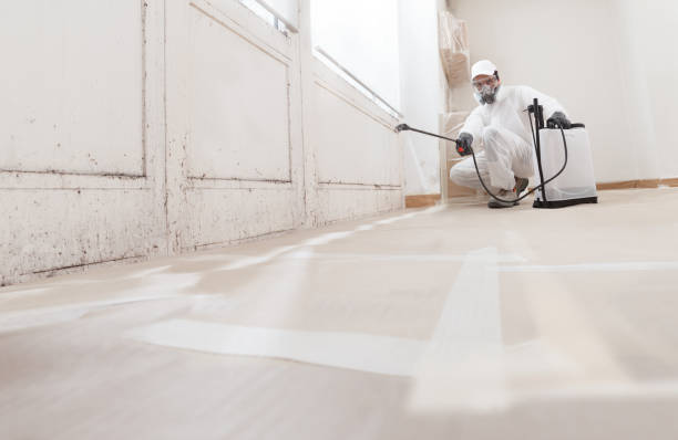 24/7 Emergency Mold Cleanup experts in Georgetown, MA