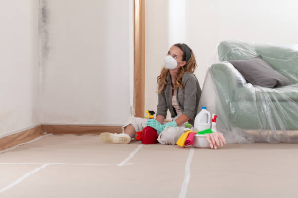 Reliable Mold Cleanup contractor in Georgetown, MA by Cheap Mold Removal